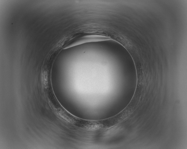 X0000083640646200702121125