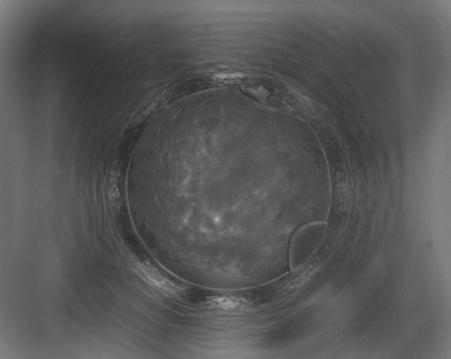X0000083640654200702121125