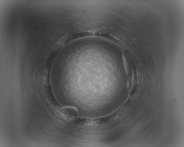 X0000083640656200702121125