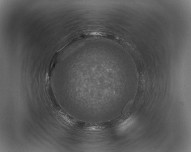X0000083640657200702121125