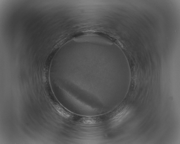 X0000083640658200702121125