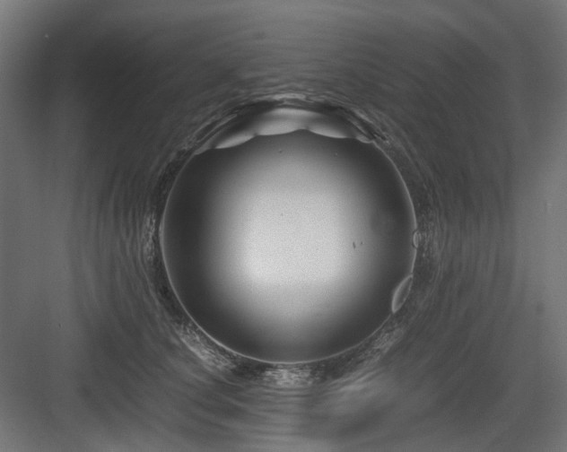 X0000083640660200702121125