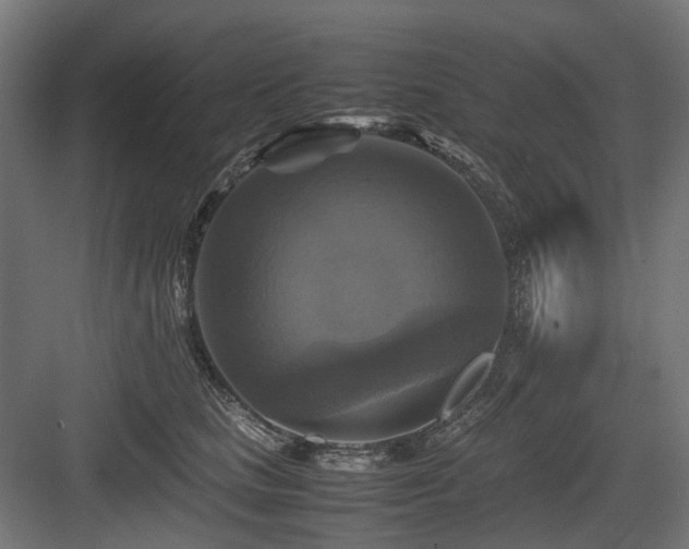 X0000083640661200702121125