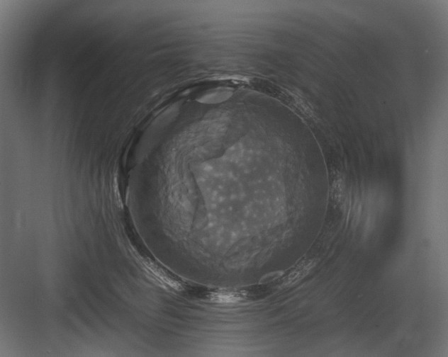 X0000083640662200702121125