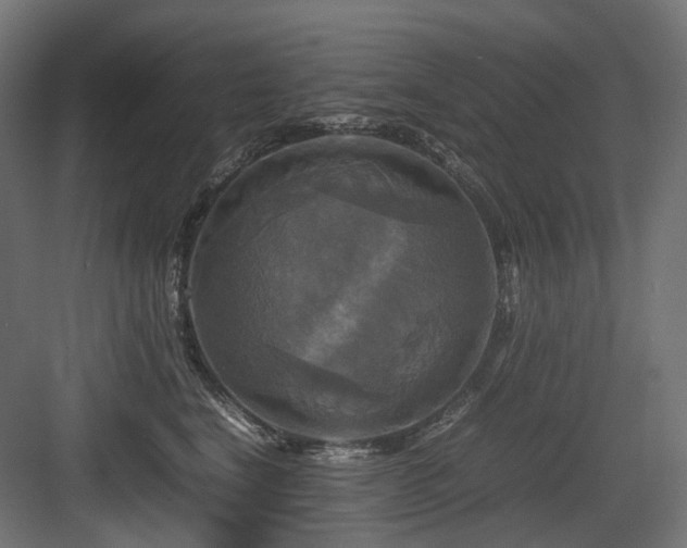 X0000083640664200702121125