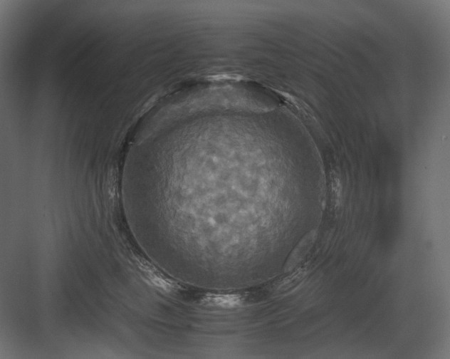 X0000083640665200702121125