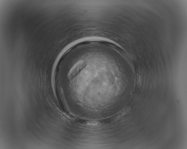 X0000083640666200702121125