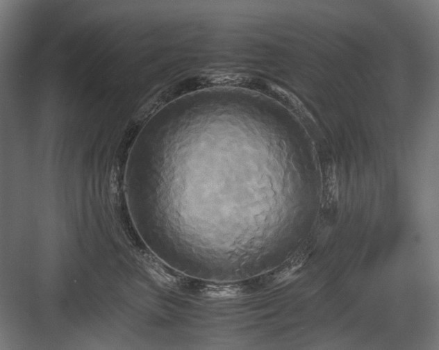 X0000083640667200702121125