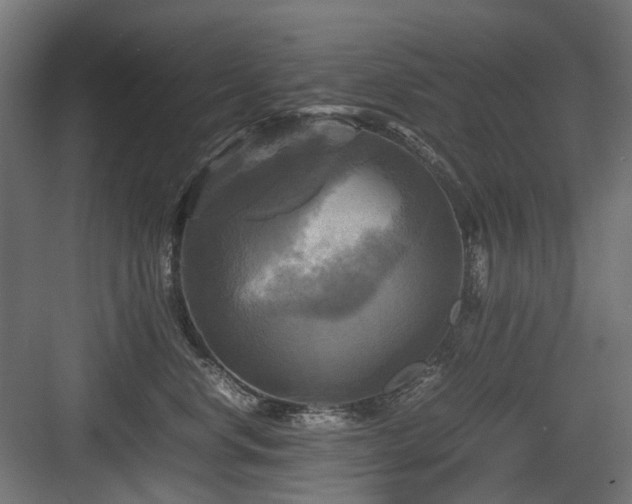 X0000083640668200702121125