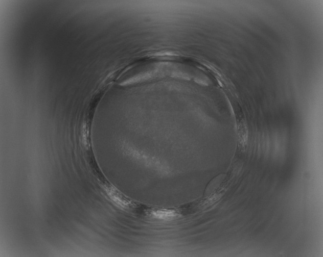 X0000083640669200702121125