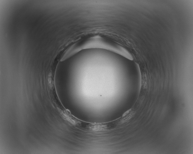 X0000083640670200702121125