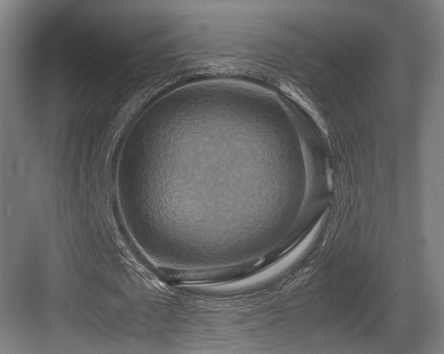 X0000083640673200702121125