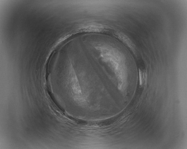 X0000083640675200702121125