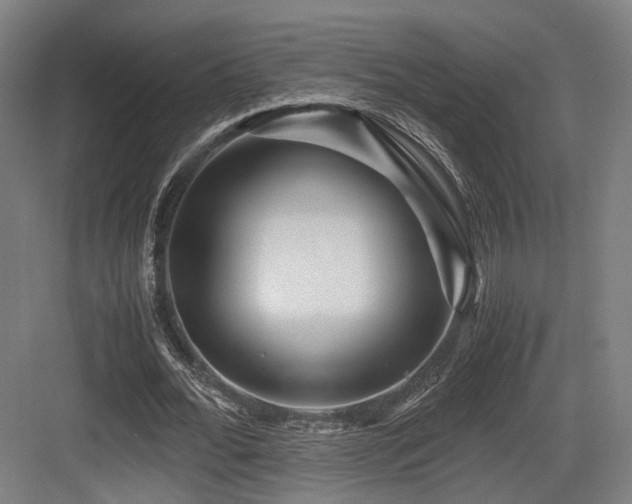 X0000083640676200702121125