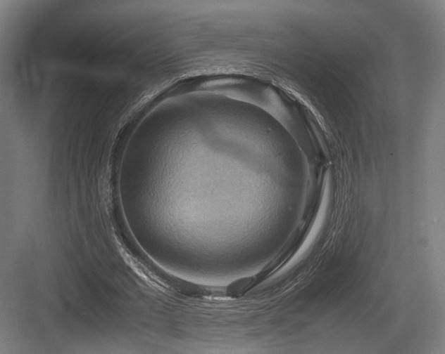 X0000083640677200702121125