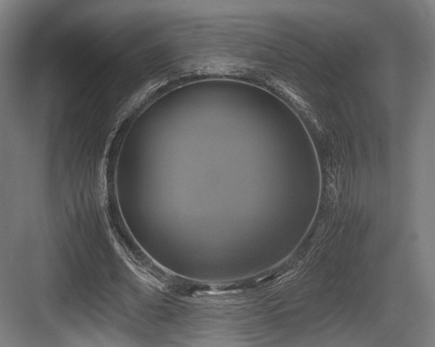 X0000083640678200702121124