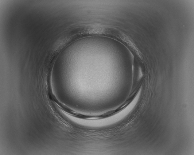 X0000083640681200702121124