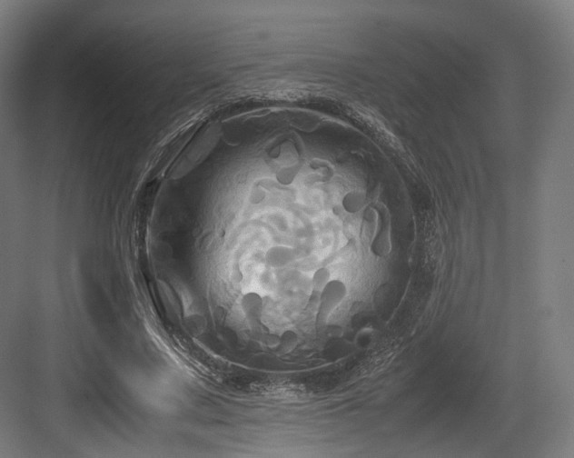 X0000083640683200702121124