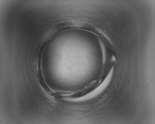 X0000083640685200702121124