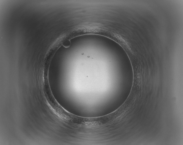 X0000083640686200702121124
