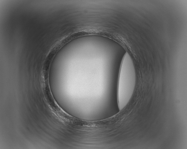 X0000083640688200702121124