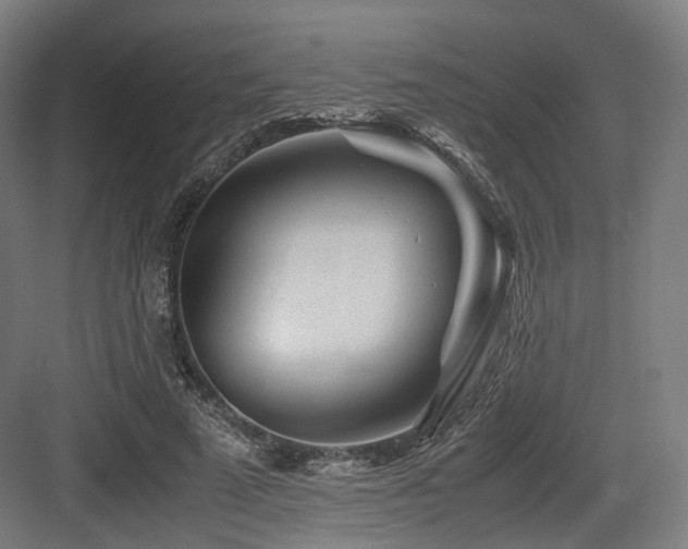 X0000083640689200702121124
