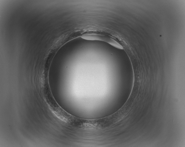 X0000083640690200702121124