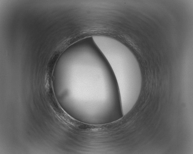 X0000083640692200702121124