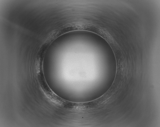 X0000083640694200702121124