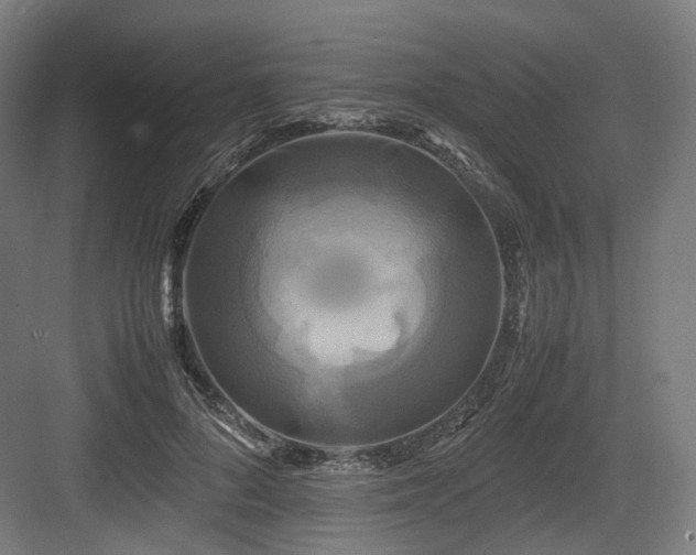X0000083640696200702121124
