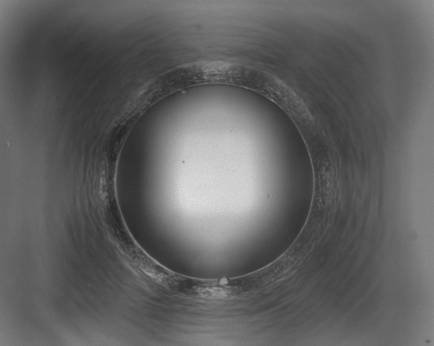 X0000083640698200702121124