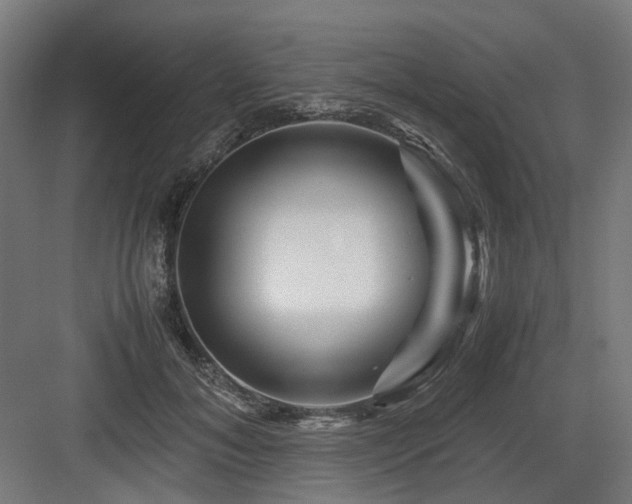 X0000083640700200702121124