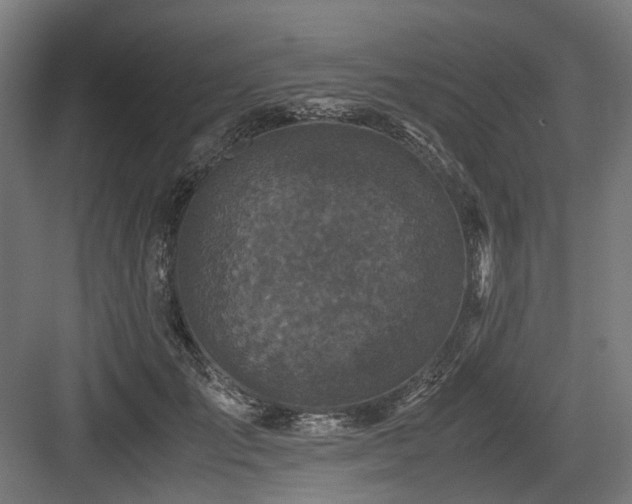 X0000083640701200702121124