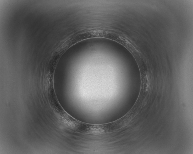 X0000083640702200702121124