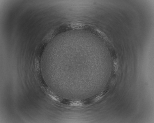 X0000083640705200702121124