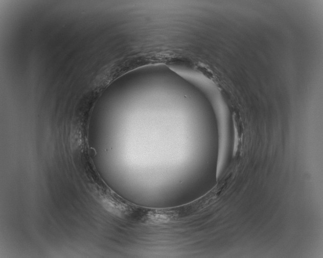 X0000083640706200702121124