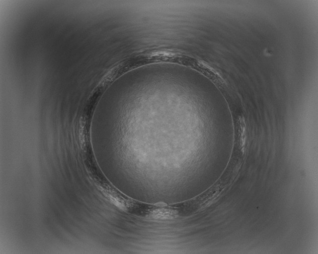 X0000083640708200702121124