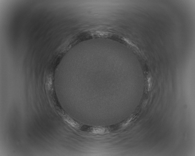 X0000083640709200702121124