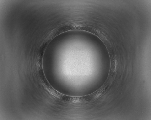 X0000083640710200702121124