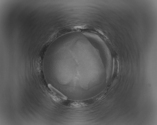 X0000083640712200702121124