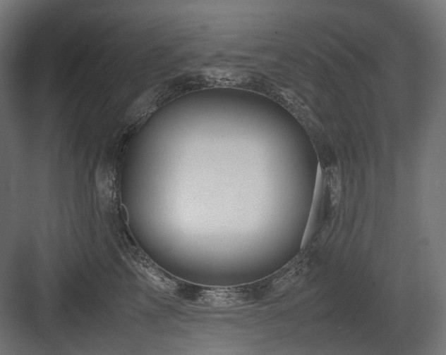 X0000083640713200702121124