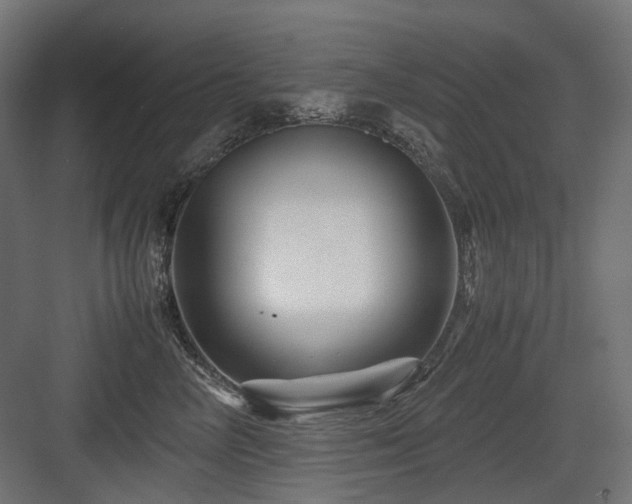 X0000083640714200702121124