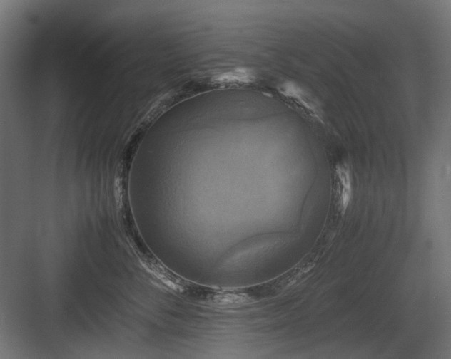X0000083640716200702121124