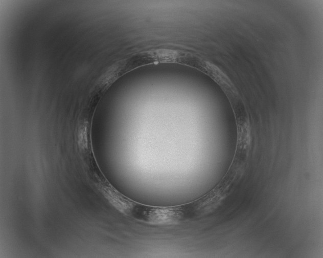 X0000083640717200702121124