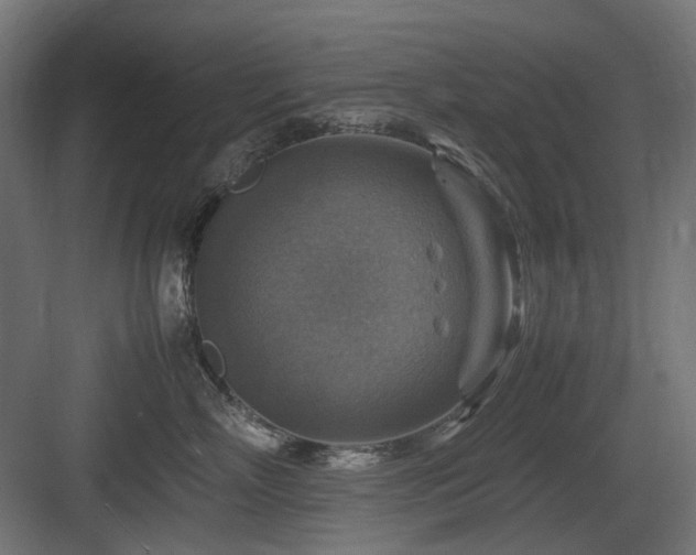 X0000083640718200702121124