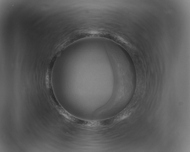X0000083640720200702121124