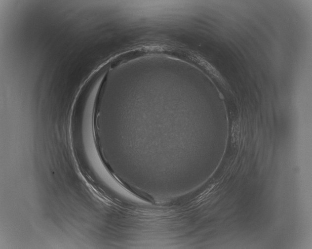 X0000083640722200702121123