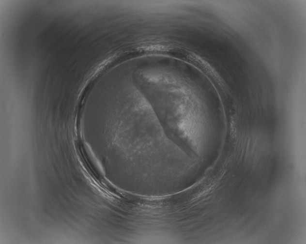 X0000083640725200702121123