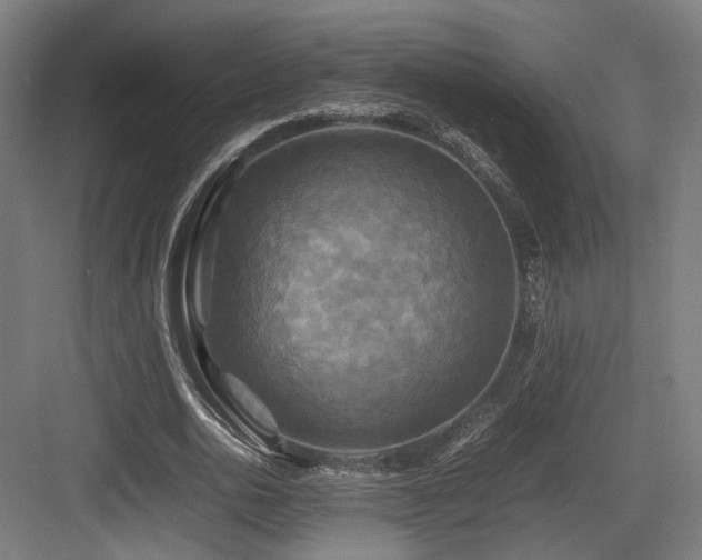 X0000083640726200702121123