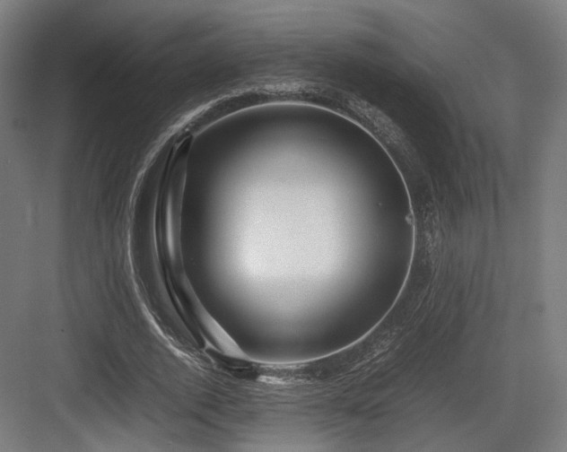 X0000083640728200702121123